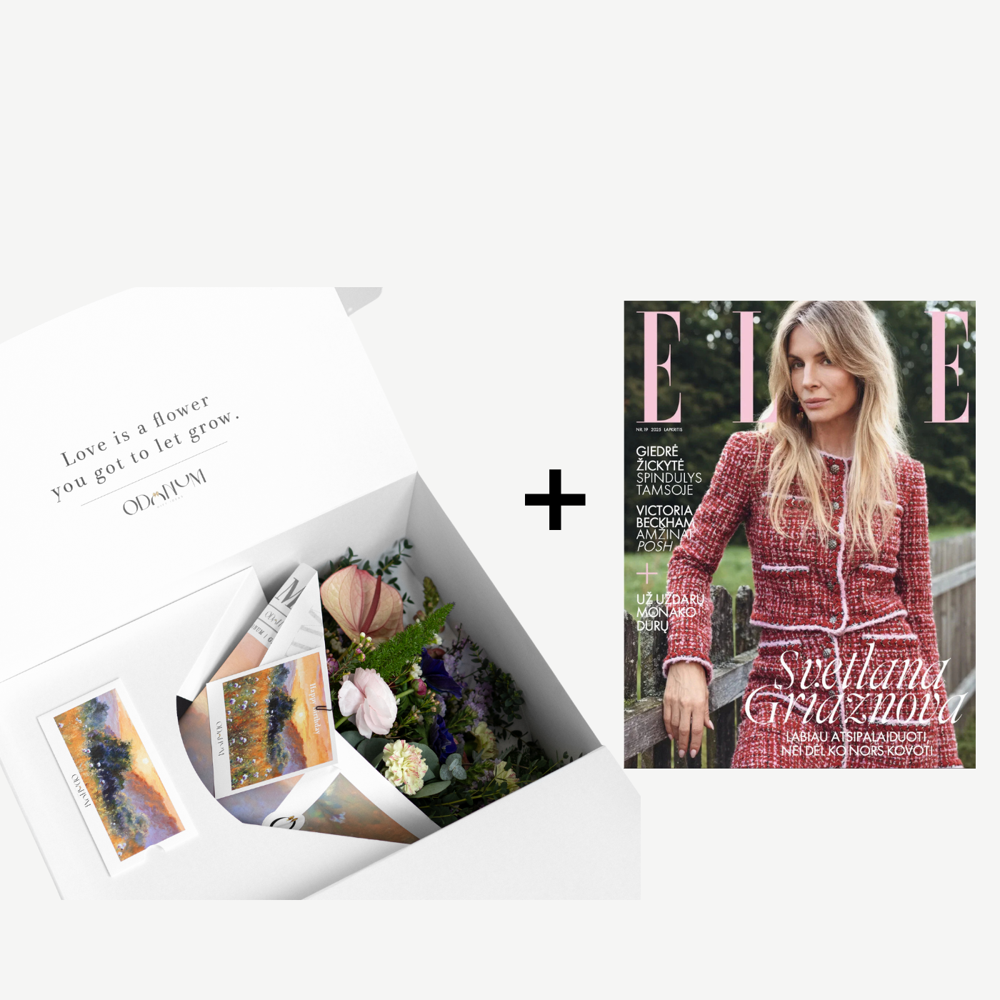 Odonum gėlių box'as Classic + ELLE Lithuania žurnalas