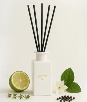 Patalpų kvapas Financier