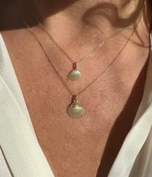 Pakabukas Kelrodė Kriauklė M | Sarune Vaitkute