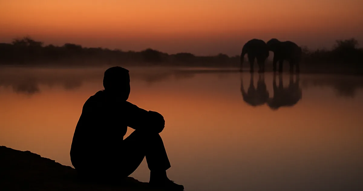 Keliautojas stebi laukinę gamtą prie Afrikos girdyklos auštant — neužmirštama nuotykio dovanos akimirka